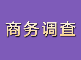 相城商务调查